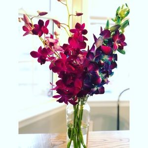 Meet your Posher, Marie